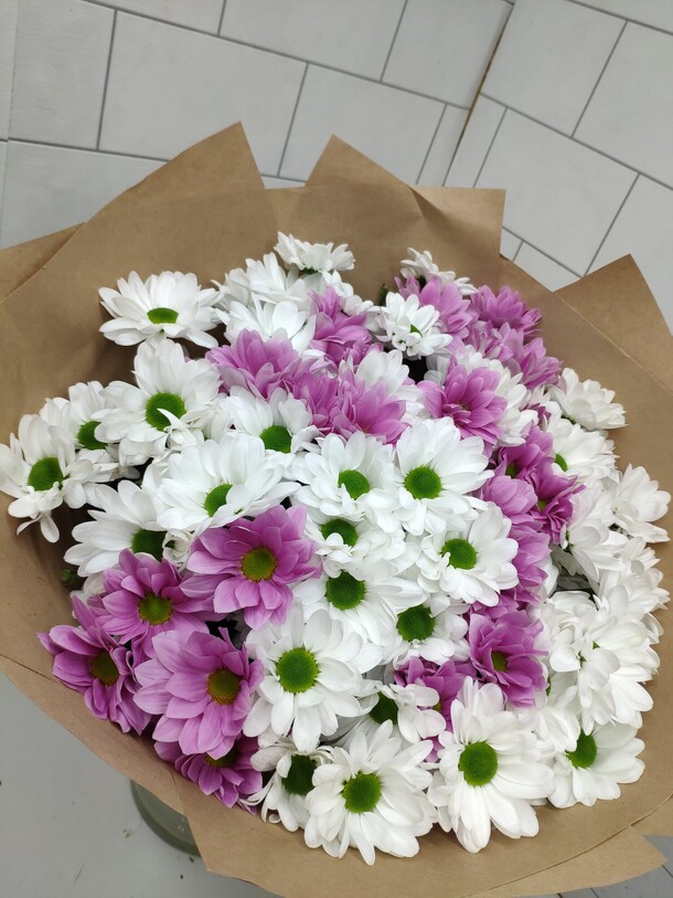 Хризантема день матери, артикул F1085838 - 6486 рублей, доставка по городу. Flawery - доставка цветов