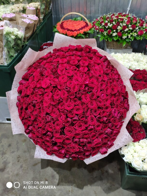 Красные розы 301, артикул F92150 - 90000 рублей, доставка по городу. Flawery - доставка цветов