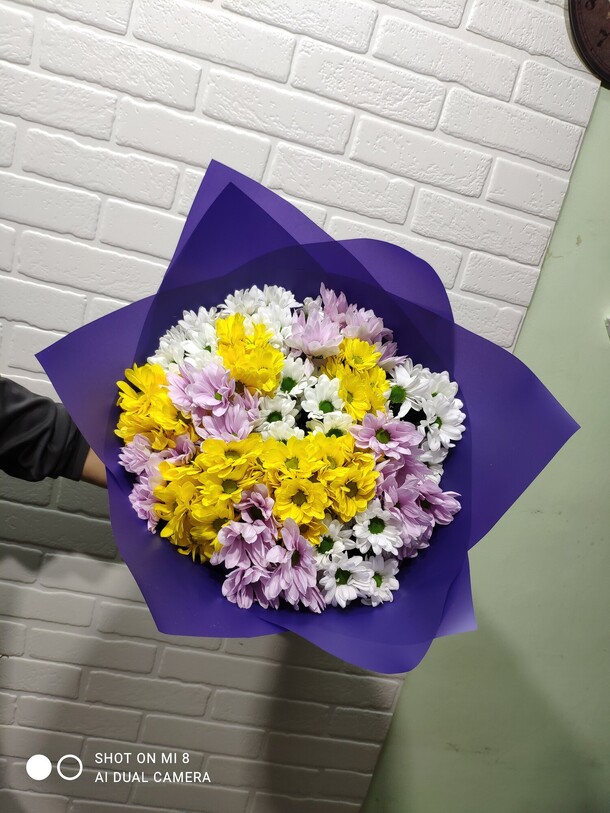 Хризантема кустовая микс, артикул F99863 - 5445 рублей, доставка по городу. Flawery - доставка цветов