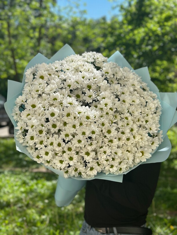 Букет из 55 шт хризантем, артикул F1319026 - 21596 рублей, доставка по городу. Flawery - доставка цветов