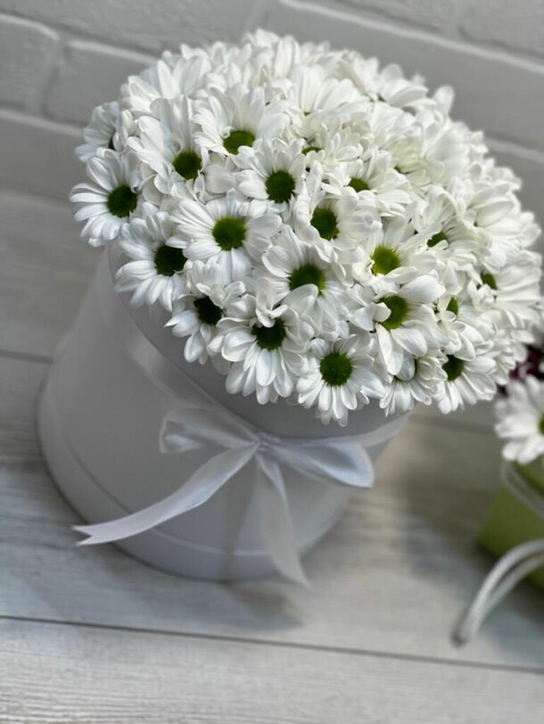 Хризантемы в коробке, артикул F1348696 - 3999 рублей, доставка по городу. Flawery - доставка цветов