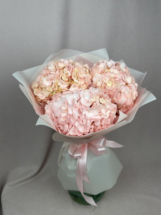 Розовая гортензия, 3шт, артикул F1480985 - 2992 рублей, доставка по городу. Flawery - доставка цветов