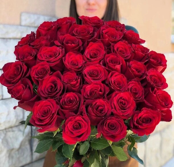 Красные шикарные розы 51 шт, артикул F1315819 - 27500 рублей, доставка по городу. Flawery - доставка цветов
