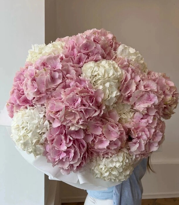 Гортензии 19 шт, артикул F1315854 - 33000 рублей, доставка по городу. Flawery - доставка цветов