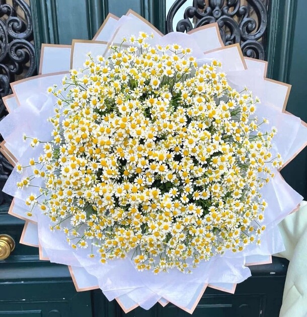 Ромашки полевые 51 веточка, артикул F1316144 - 28600 рублей, доставка по городу. Flawery - доставка цветов