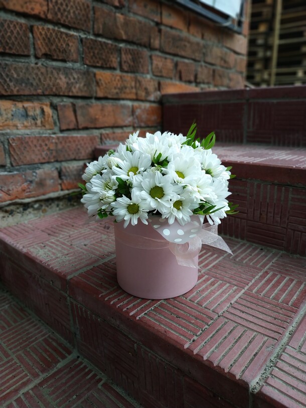 Шляпная коробка ромашка мини, артикул F76763 - 2750 рублей, доставка по городу. Flawery - доставка цветов