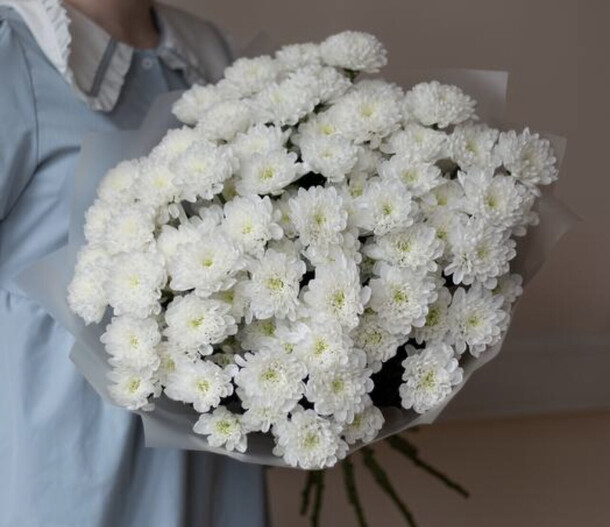 Букет из 15 белых кустовых хризантем, артикул F1320582 - 5405 рублей, доставка по городу. Flawery - доставка цветов