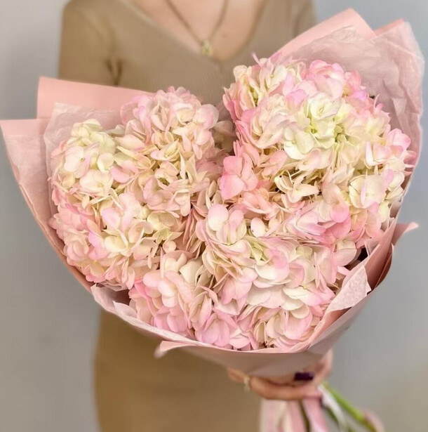 Букет 3 розовых гортензий, артикул F1408134 - 2310 рублей, доставка по городу. Flawery - доставка цветов