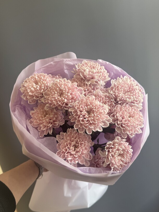 Монобукет темно фиолетовой хризантемы, артикул F1431052 - 1575 рублей, доставка по городу. Flawery - доставка цветов