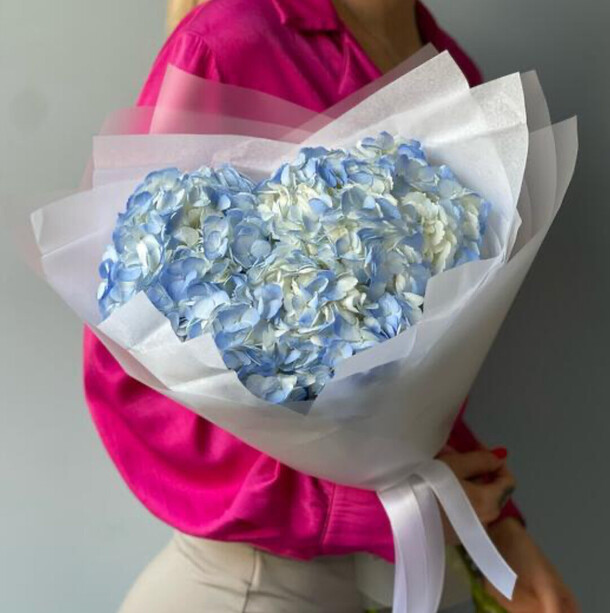 Гортензии 3 «голубое облачко», артикул F1452039 - 2310 рублей, доставка по городу. Flawery - доставка цветов