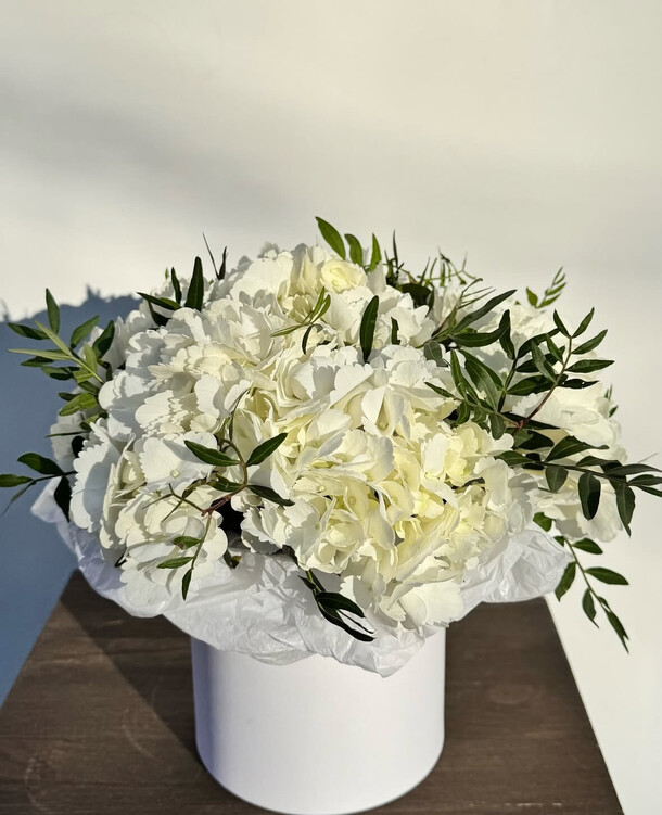 Гортензия в коробочке, артикул F1480136 - 1290 рублей, доставка по городу. Flawery - доставка цветов