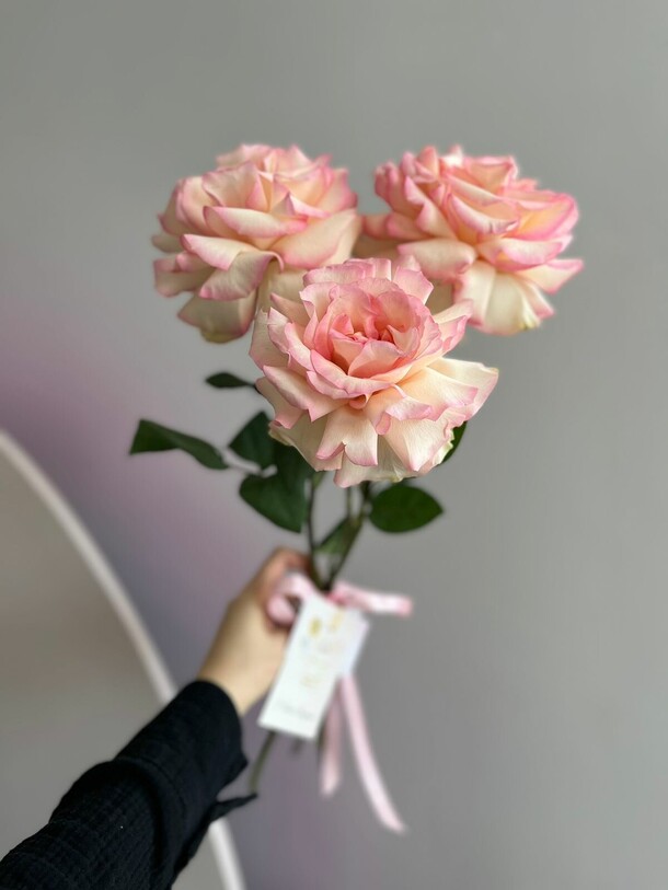 Букет из трёх розовыхроз, артикул F1324181 - 3636 рублей, доставка по городу. Flawery - доставка цветов