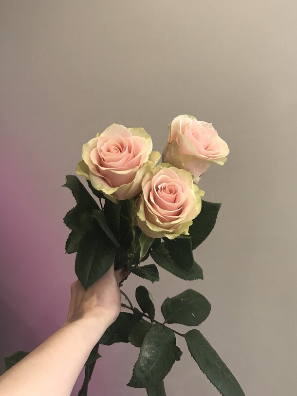 Букет из трех роз, артикул F1340174 - 1701 рублей, доставка по городу. Flawery - доставка цветов