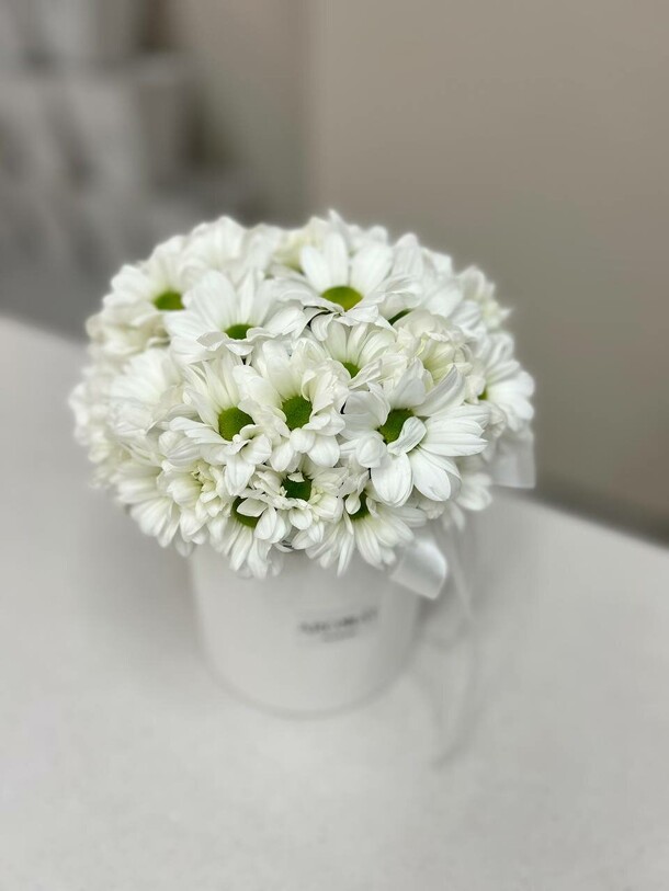 Хризантемы в шляпной коробке, артикул F1344440 - 2310 рублей, доставка по городу. Flawery - доставка цветов