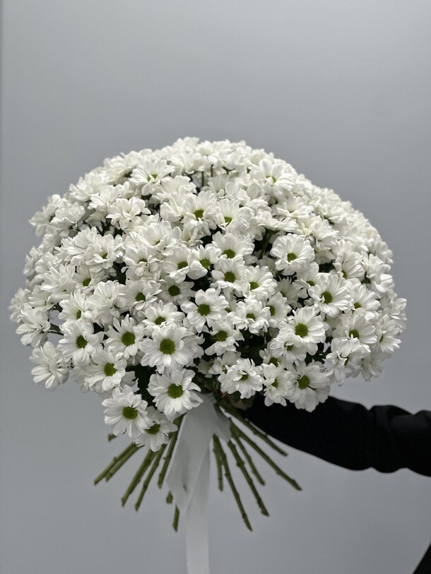 Букет из хризантем, 25 шт, артикул F1357381 - 17600 рублей, доставка по городу. Flawery - доставка цветов