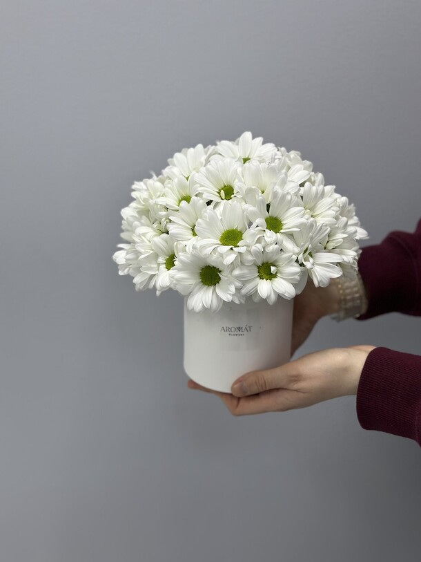 Коробочка с хризантемой, артикул F1404368 - 2750 рублей, доставка по городу. Flawery - доставка цветов