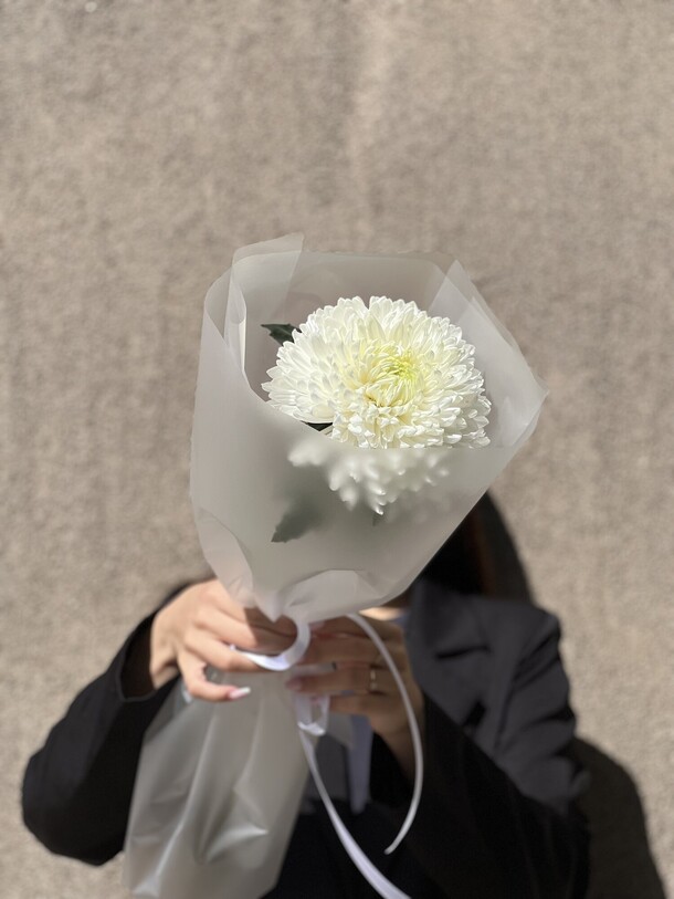 Одноголовая хризантема в упаковке, артикул F1454854 - 1320 рублей, доставка по городу. Flawery - доставка цветов