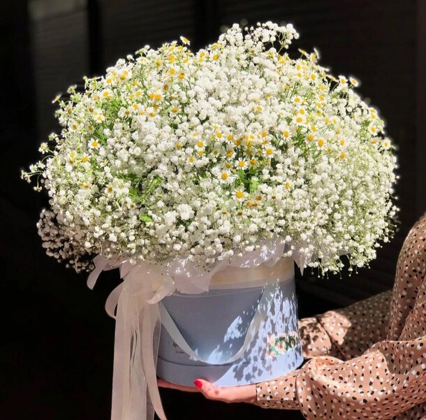 Милая нежная коробочка с гипсофилой и ромашками, артикул F1329604 - 30734 рублей, доставка по городу. Flawery - доставка цветов