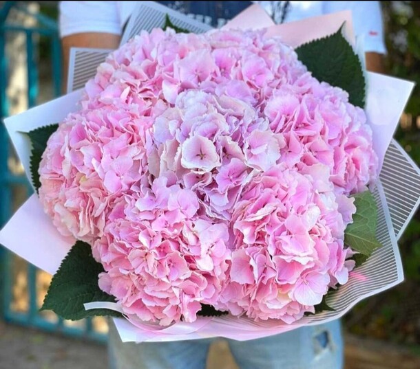 Букет из 7 прекрасных гортензий, артикул F1329610 - 27830 рублей, доставка по городу. Flawery - доставка цветов