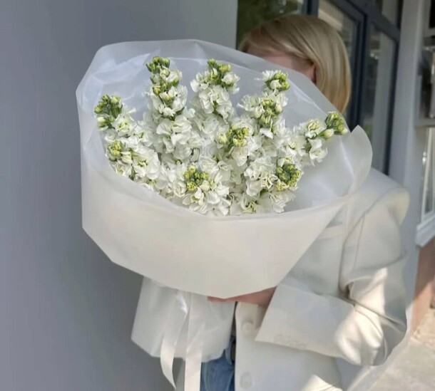 Букет белой маттиолы, артикул F1330032 - 22990 рублей, доставка по городу. Flawery - доставка цветов