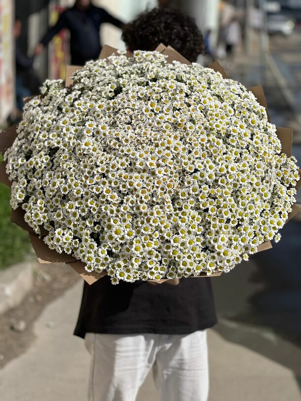 Букет из 101 ромашек, артикул F1332486 - 21900 рублей, доставка по городу. Flawery - доставка цветов