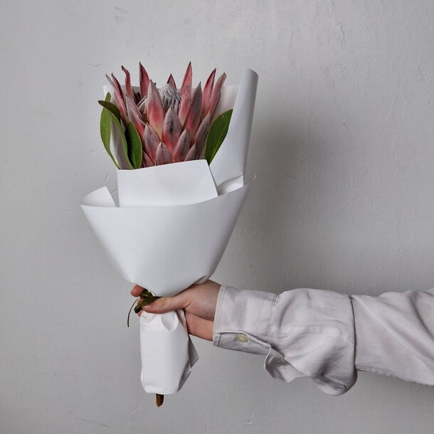 Протея, артикул F1432848 - 2500 рублей, доставка по городу. Flawery - доставка цветов