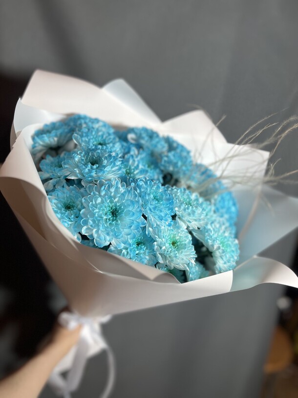 Голубые хризантемы, артикул F1364148 - 3189 рублей, доставка по городу. Flawery - доставка цветов