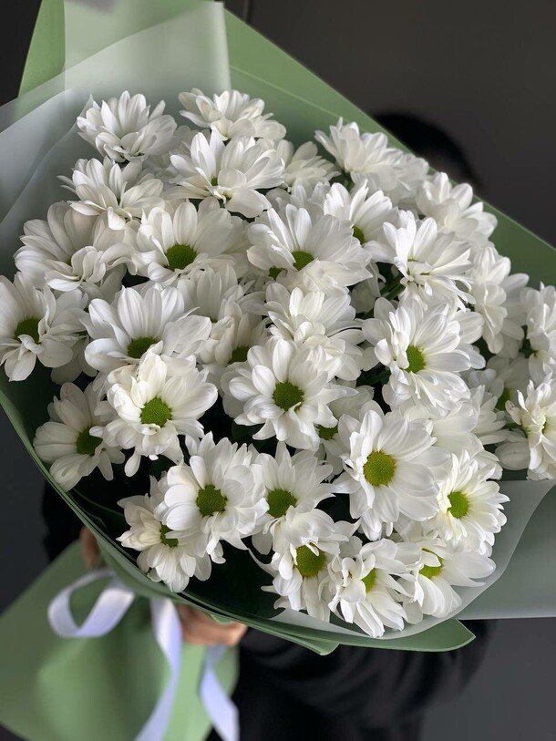 Хризантема ромашка, артикул F1344592 - 3400 рублей, доставка по городу. Flawery - доставка цветов