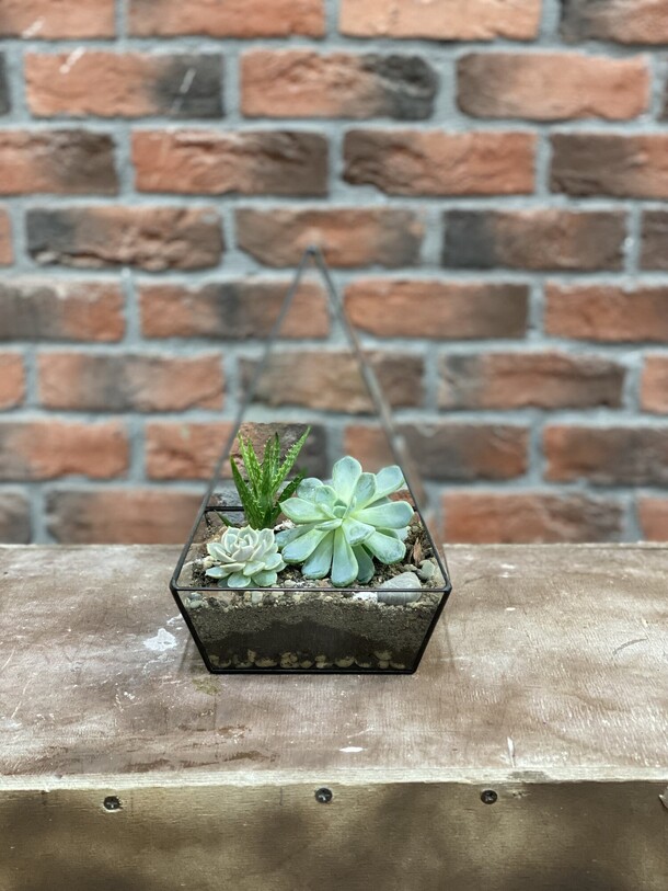 Флорариум суккулент s, артикул F1332228 - 8800 рублей, доставка по городу. Flawery - доставка цветов