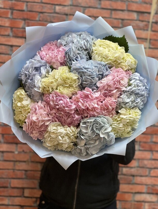 Гортензия микс, артикул F1351394 - 18021 рублей, доставка по городу. Flawery - доставка цветов