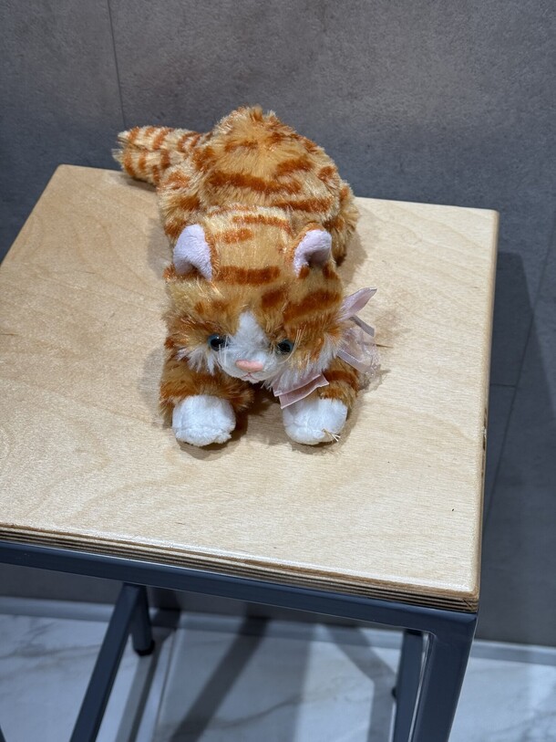 Котик, артикул F1343809 - 990 рублей, доставка по городу. Flawery - доставка цветов