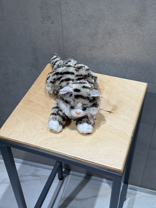 Котик, артикул F1343811 - 990 рублей, доставка по городу. Flawery - доставка цветов