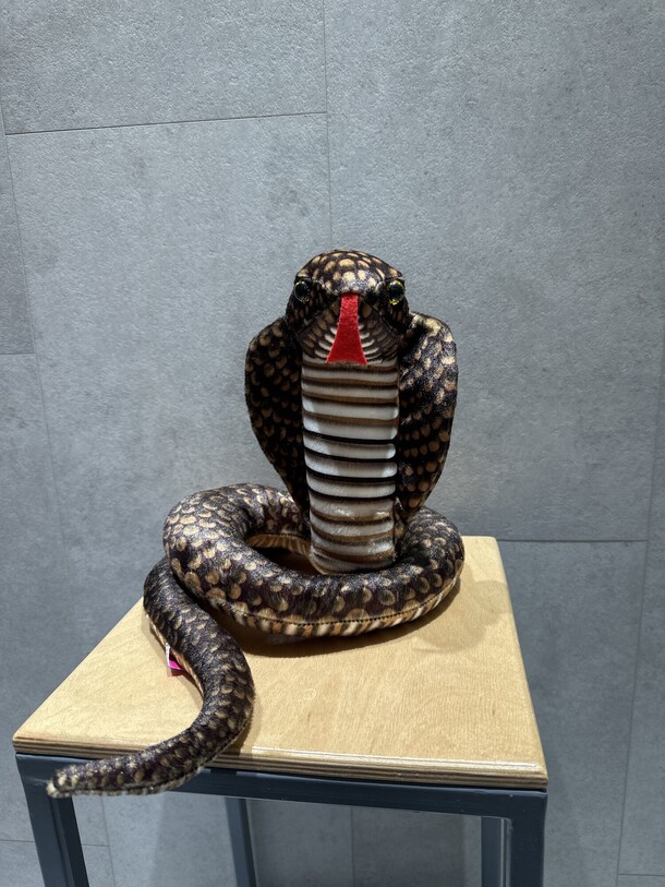 Змея, артикул F1346083 - 1650 рублей, доставка по городу. Flawery - доставка цветов