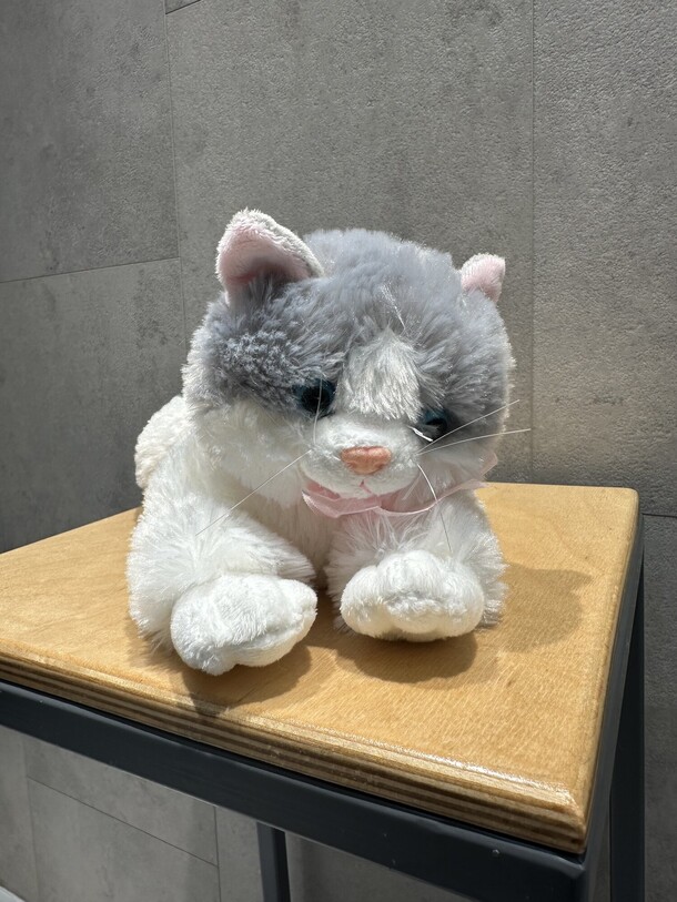 Котик с бантиком, артикул F1349337 - 1403 рублей, доставка по городу. Flawery - доставка цветов