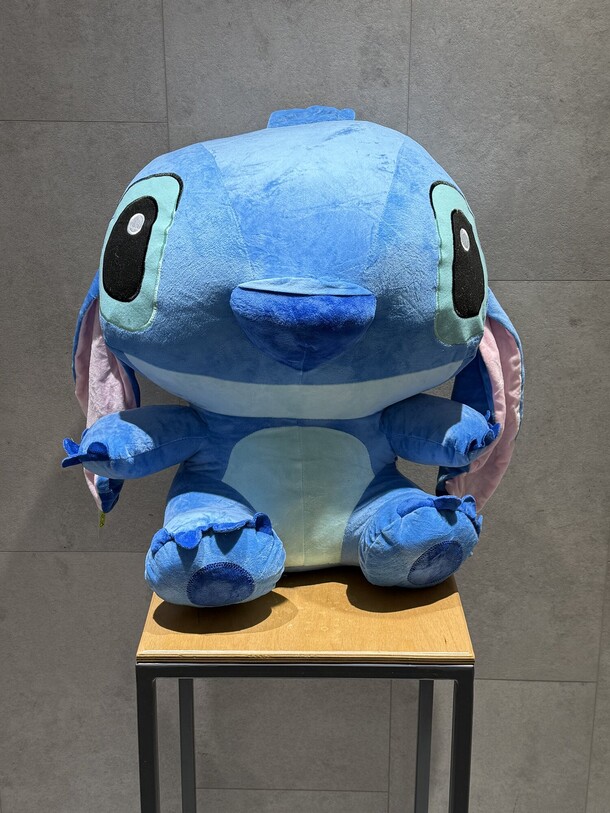 Стич номер 55, артикул F1353640 - 4134 рублей, доставка по городу. Flawery - доставка цветов