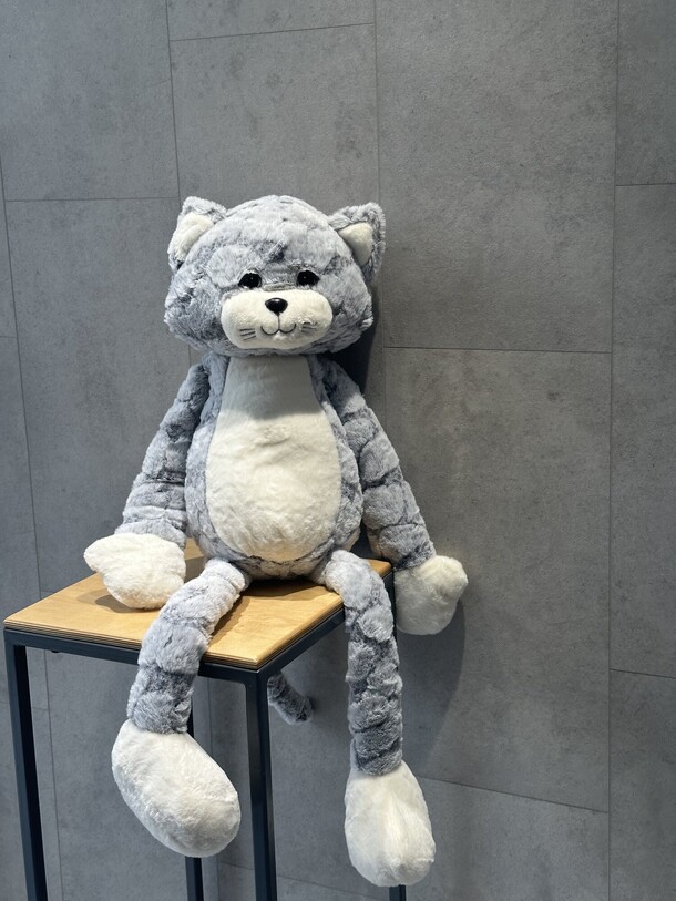 Кот длинные ноги номер 90, артикул F1353645 - 4620 рублей, доставка по городу. Flawery - доставка цветов