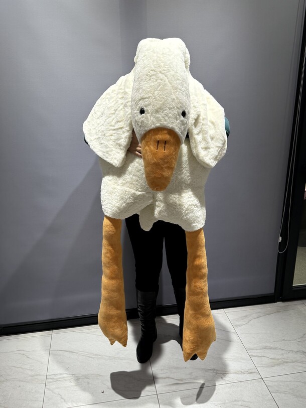 Гусь гигантский, артикул F1356240 - 10725 рублей, доставка по городу. Flawery - доставка цветов