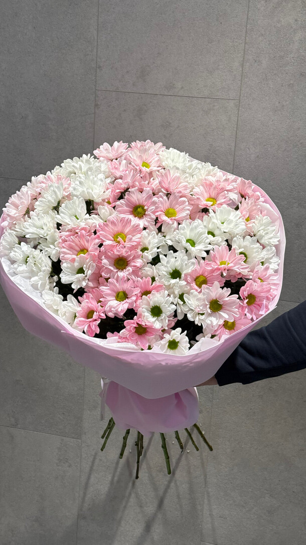 Ромашковая хризантемы, артикул F1356773 - 9900 рублей, доставка по городу. Flawery - доставка цветов