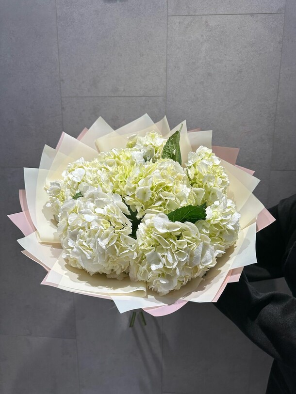 7 пышных гортензии, артикул F1419715 - 10065 рублей, доставка по городу. Flawery - доставка цветов
