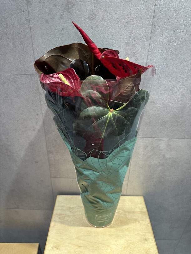 Антуриум, артикул F1436873 - 7425 рублей, доставка по городу. Flawery - доставка цветов