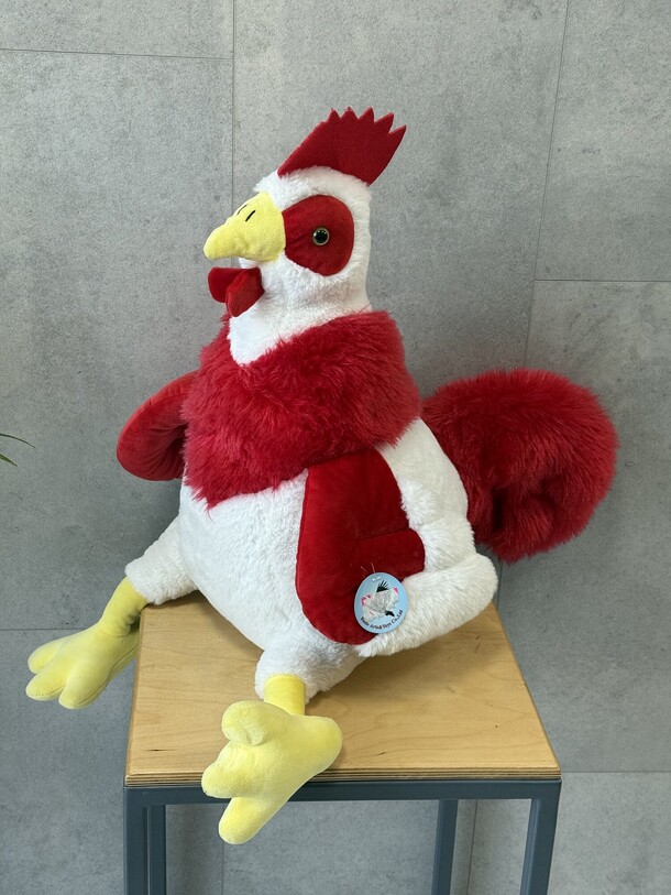 Петух, артикул F1457937 - 2420 рублей, доставка по городу. Flawery - доставка цветов