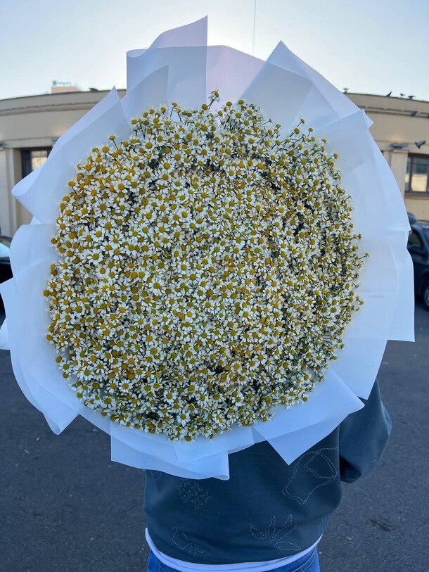 101 ромашки 🤍, артикул F1341067 - 33981 рублей, доставка по городу. Flawery - доставка цветов