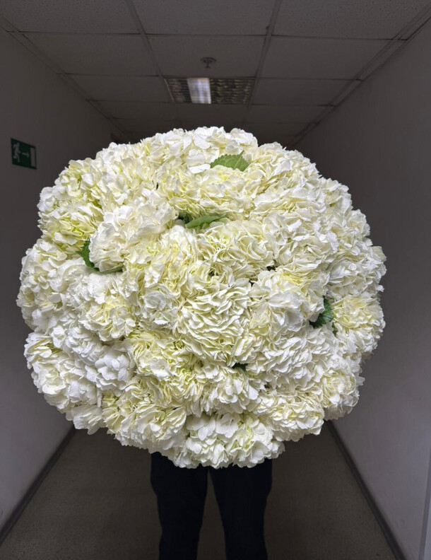 35 белая гортензия, артикул F1388283 - 41100 рублей, доставка по городу. Flawery - доставка цветов