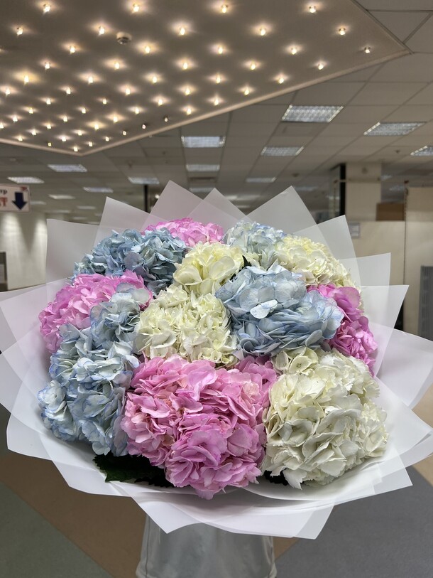 Букет из 13 гортензии микс, артикул F1422988 - 15450 рублей, доставка по городу. Flawery - доставка цветов