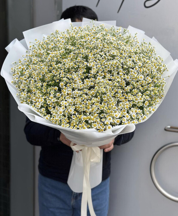 Букет из 101 ромашек 🤍, артикул F1480562 - 46866 рублей, доставка по городу. Flawery - доставка цветов