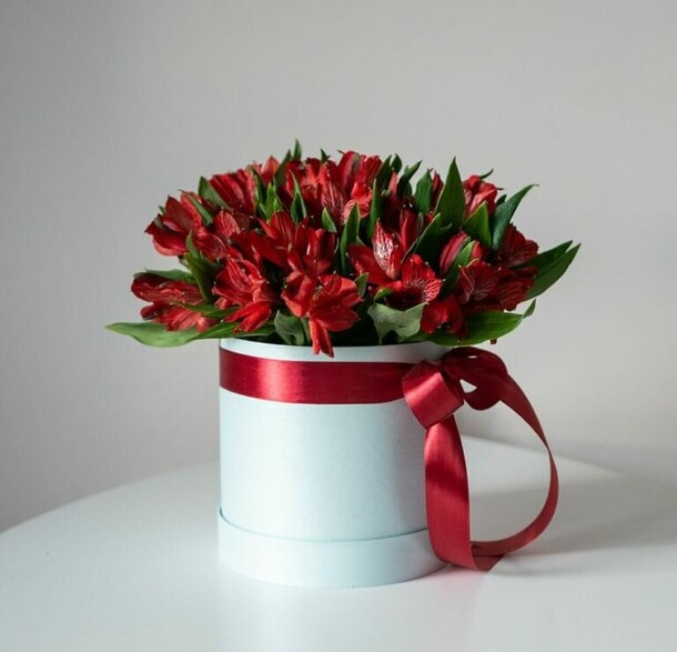 Коробка с алыми альстромериями, артикул F1157357 - 8248 рублей, доставка по городу. Flawery - доставка цветов