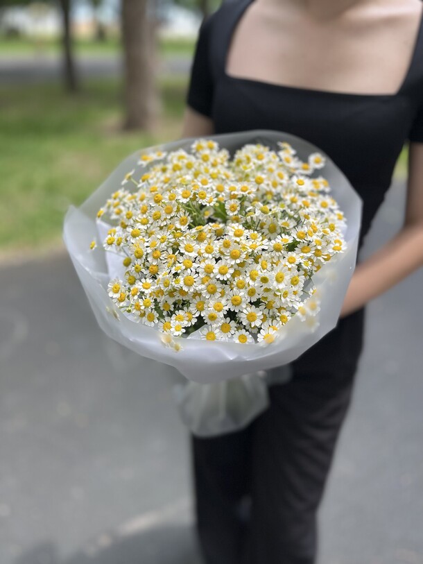 Букет из ромашек ( танацетум), артикул F1501973 - 3993 рублей, доставка по городу. Flawery - доставка цветов