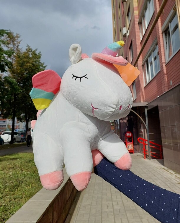 Единорог, артикул F1310651 - 1960 рублей, доставка по городу. Flawery - доставка цветов