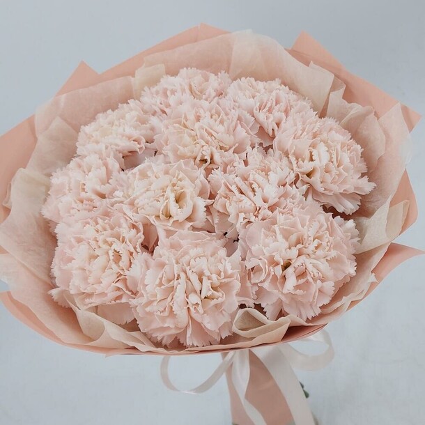 Кремовые диантусы, артикул F1349742 - 2916 рублей, доставка по городу. Flawery - доставка цветов