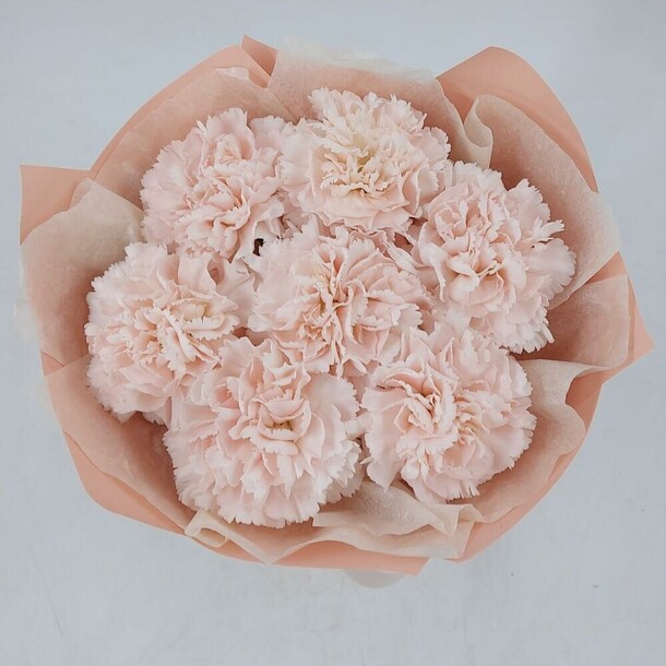 Кремовые диантусы, артикул F1353914 - 2549 рублей, доставка по городу. Flawery - доставка цветов